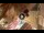 Webcam in Siena, 0.1 km entfernt