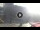 Webcam in Siena, 16.5 mi away