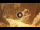 Webcam in Petra, 221.9 km entfernt