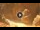 Webcam in Petra, 366 km entfernt