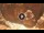 Webcam in Petra, 433.4 km