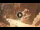 Webcam in Petra, 2024 km