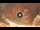Webcam in Petra, 162.5 km