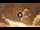 Webcam in Petra, 206.1 km