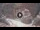 Webcam in Petra, 86.7 mi away