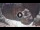 Webcam in Petra, 205.3 km entfernt