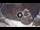 Webcam in Petra, 206.1 km