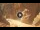 Webcam in Petra, 779.6 mi away