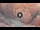 Webcam in Petra, 1971.1 km