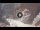 Webcam in Petra, 2028.2 km