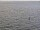 Webcam sulla AIDAdiva, 27.5 km