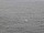 Webcam on the AIDAdiva, 113.2 mi away
