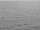 Webcam on the AIDAdiva, 19.4 mi away
