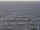 Webcam auf der AIDAdiva, 76.9 km entfernt