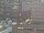 Webcam on the AIDAdiva, 13.2 mi away