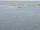 Webcam en el AIDAdiva, 14.2 km