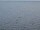 Webcam on the AIDAdiva, 1.8 mi away
