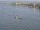 Webcam on the AIDAdiva, 0.3 mi away