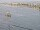 Webcam sulla AIDAdiva, 13.4 km