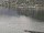 Webcam auf der AIDAdiva, 48.5 km entfernt