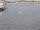 Webcam sulla AIDAdiva, 263.9 km