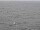 Webcam on the AIDAdiva, 113.2 mi away