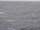 Webcam auf der AIDAdiva, 1007.9 km entfernt