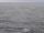 Webcam on the AIDAdiva, 399.5 mi away