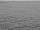 Webcam sulla AIDAdiva, 77.7 km