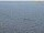 Webcam on the AIDAdiva, 1.6 mi away