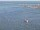 Webcam en el AIDAdiva, 1.9 km