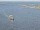 Webcam on the AIDAdiva, 0.7 mi away
