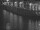Webcam sulla AIDAdiva, 81.1 km