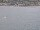 Webcam on the AIDAdiva, 41.2 mi away