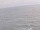 Webcam sulla AIDAbella, 113.4 km