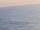 Webcam on the AIDAbella, 16.7 mi away