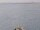 Webcam on the AIDAbella, 9.8 mi away