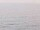 Webcam on the AIDAbella, 64.6 mi away
