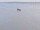 Webcam auf der AIDAbella, 30.5 km entfernt