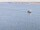 Webcam auf der AIDAbella, 0.6 km entfernt