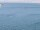 Webcam on the AIDAbella, 2.5 mi away