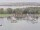 Webcam på AIDAbella, 0.1 km