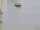Webcam on the AIDAluna, 15.8 mi away