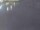 Webcam on the AIDAluna, 72 mi away