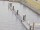 Webcam on the AIDAluna, 1.3 mi away