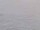 Webcam sulla AIDAluna, 54.2 km