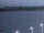 Webcam auf der AIDAblu, 53.1 km entfernt