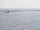 Webcam on the AIDAblu, 31.1 mi away