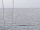 Webcam sulla AIDAblu, 116.5 km