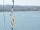 Webcam sulla AIDAblu, 58.1 km